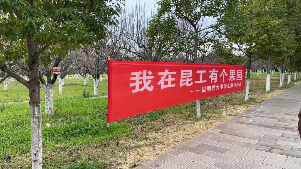 图5.jpg